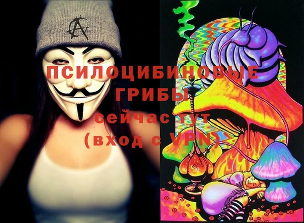 соль ск Новокубанск