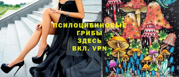 каннабис Новозыбков